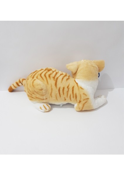 35 cm Peluş Oyuncak Yatan Kedi