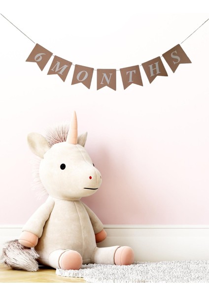 6 Months Yarım Yaş Retro Banner Süs 105 cm x 17 cm fırsatları
