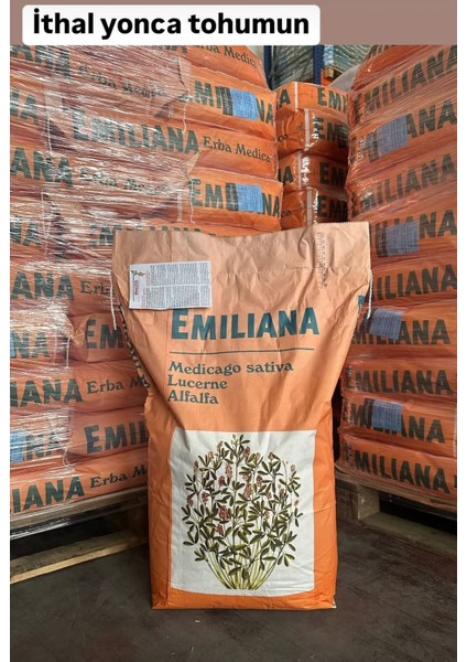 Ithal Bol Emiliana Yonca Tohumu-25 kg