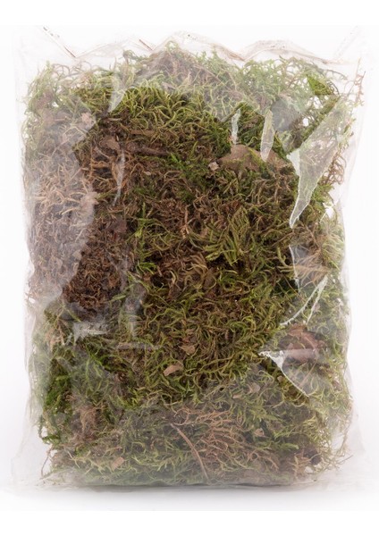 Doğal Yosun 40 Gr