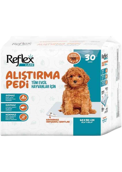 Kaydırmaz Köpek Alıştırma Pedi 60x90cm (30'lu)