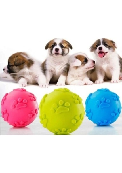 Akan Marketing Köpek Isırma Topu Pati Desenli