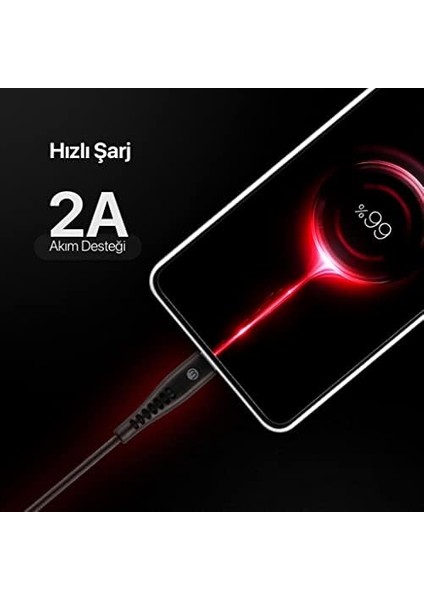 By Usb-A - Usb-C 2A Şarj Kablosu 300CM-SIYAH
