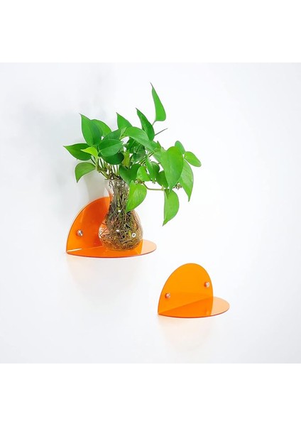 Oval 2'li Duvar Raf (Transparan Turuncu)