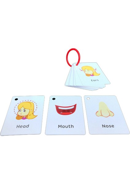 Bir Kutu Resim Kartı Çocuklar Için Erken Öğrenme Bilişsel Flash Kart Bebek Öğrenme (Yurt Dışından) modelleri