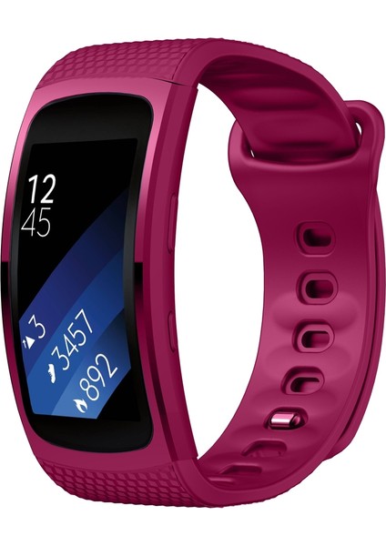 Samsung Gear Fit2 SM-R360 Için Silikon Saat Bandı, Bilek Kayışı Boyutu: 150-213MM Mor (Yurt Dışından)