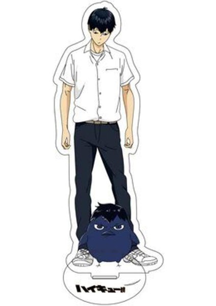 Yeni Anime Haikyuu!! Shoyo Hinata Tobio Kageyama Karakter Şekil Standı 15 cm Modeli Cosplay Akrilik Şekil Modelleri Ler (Yurt Dışından)