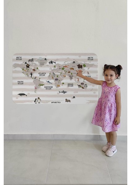 Eğitici Dünya Haritası Dünya Atlası Çocuk ve Bebek Odası Duvar STICKER -60X105-3803