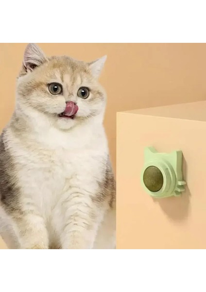 Kedi Nanesi Topları Komik Yalanabilir Kedi Atıştırmalığı Kedi Nanesi Topları Yavru Kedi Oyuncağı Çiğneme Diş Temizleme Küçük Orta Boy Kediler Için Evcil Hayvan Malzemeleri (Yurt Dışından)