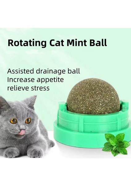 Yeni Kedi Nane Oyuncağı Dönen Kedi Nane Topu Bebek Kedi Atıştırmalıkları Kedi gr Bitki Saç Dönüşümü Kedi Evcil Hayvan Ürünleri Kedi Nanesi (Yurt Dışından)