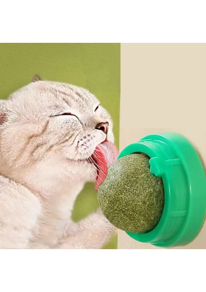 Yeni Kedi Nane Oyuncağı Dönen Kedi Nane Topu Bebek Kedi Atıştırmalıkları Kedi gr Bitki Saç Dönüşümü Kedi Evcil Hayvan Ürünleri Kedi Nanesi (Yurt Dışından)