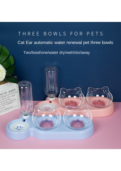 Evcil Hayvan Malzemelerikediler ve Köpekler Için Yükseltilmiş Kaplardayanıklı Çift Kedi ve Köpek Kap Besleyicileriyükseltilmiş Kedi Besleme ve Içme Malzemeleri (Yurt Dışından) fiyatları