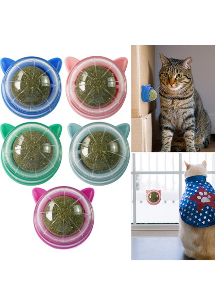 Kedi Nanesi Duvar Topları Yalama Döndürülebilir Kedi Nanesi Duvar Oyuncakları Doğal Kedi Nanesi Kedi Atıştırmalığı Topu Duvar Topu Oyuncakları Kedi Diş Temizliği Isırma (Yurt Dışından) fiyatları