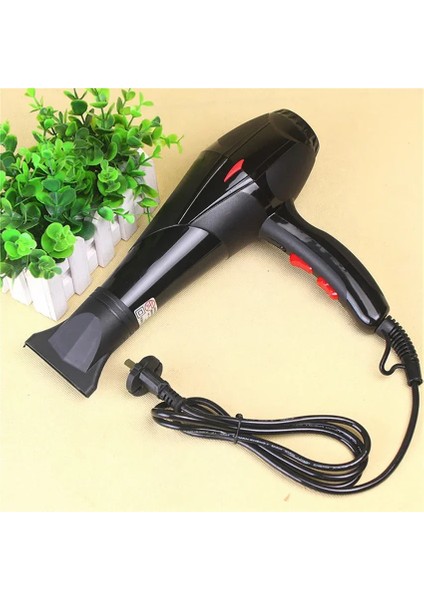 Saç Kurutma Makinesi Profesyonel Saç Kurutma Makinesi Kokulu 2500W Konsantratör Dahil Hızlı Kuruyan Hafif Saç Kurutma Makinesi Ev Için (Yurt Dışından)