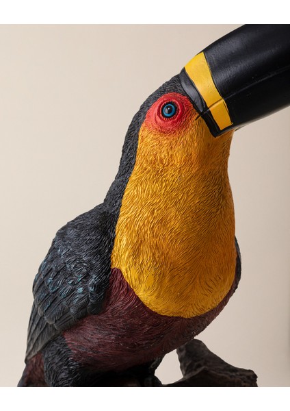 Velvet Biblo - Renkli