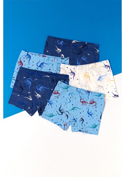 Erkek Çocuk 5'li Paket Dinazor Baskılı Boxer