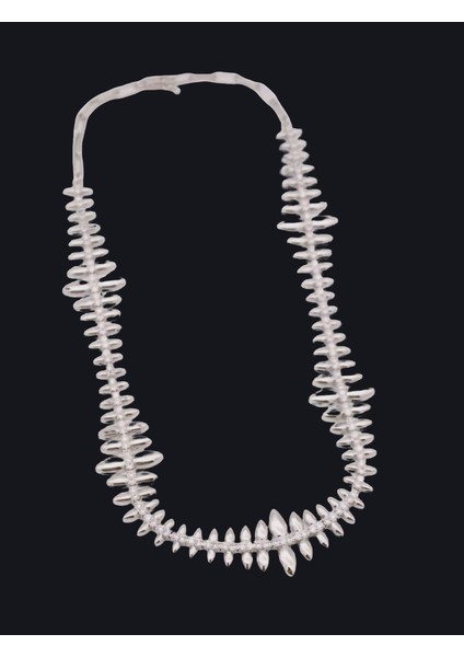Silver Zirkon Taşlı Vip Balık Sırtı Desenli Çelik Kolye fiyatları