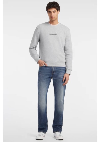 Erkek SWEATSHIRT-M4YQ19K9V31 modelleri