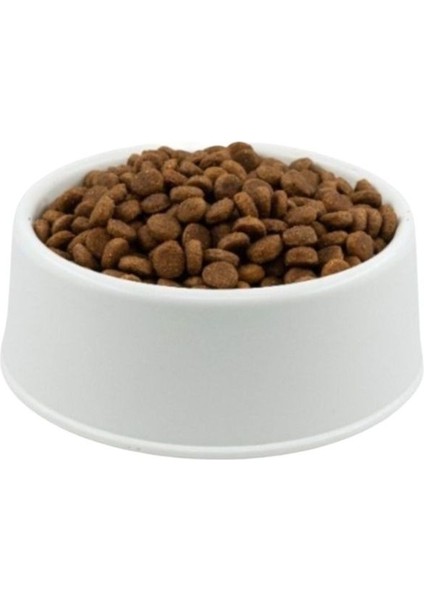 Somon Kedi Maması Açık