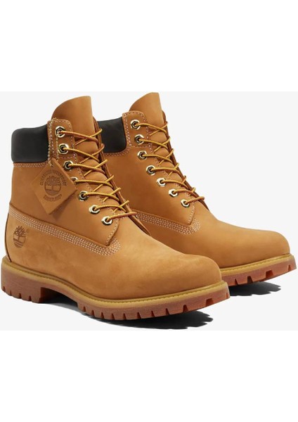 PREMIUM 6 INCH TAN SARISI Erkek Outdoor Bot fiyatları