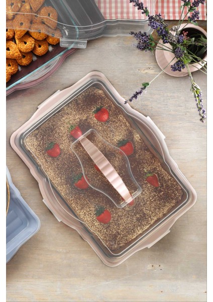 Trio Cake Borcam Taşıma Kabı fiyatları