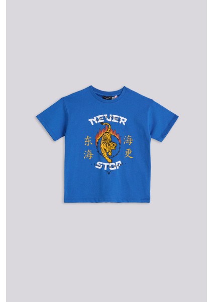 Bg Store Erkek Çocuk Mavi Tshirt