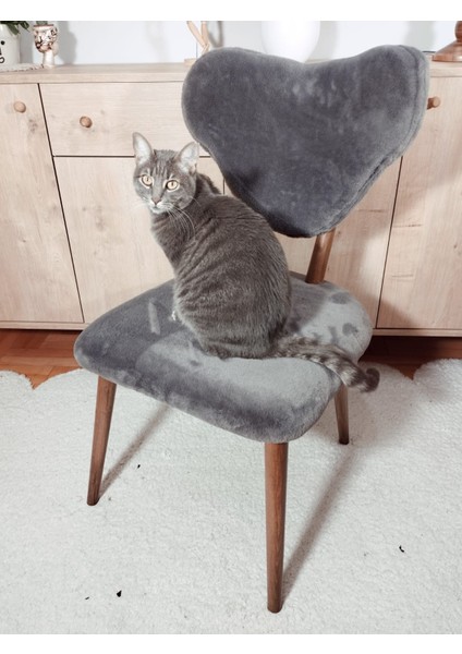 Tavşan Tüyü Natural Ahşap Salon, Mutfak ve Restoran Sandalyesi indirimleri