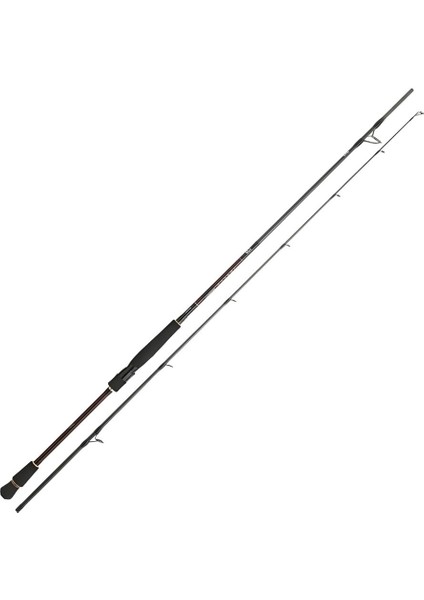 Infeet Seabass 2.51M 10-35GR 2p Spin Kamış