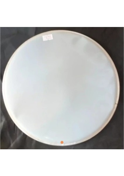 Tef Darbuka Için Plastik Şeffaf Deri 24 Cm, Head Skin For Doumbek 24 cm 1 Adet