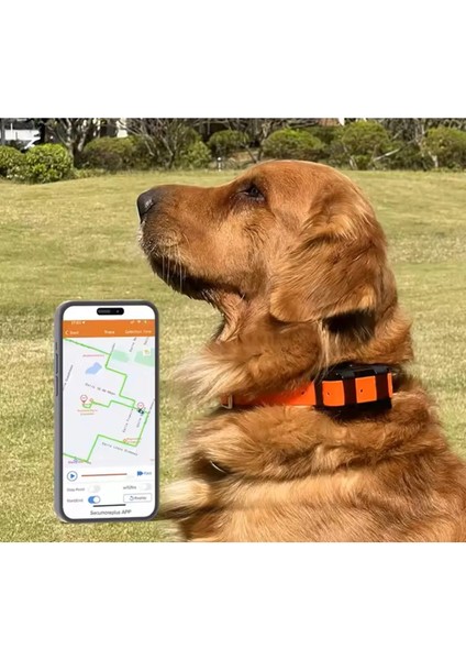 YG119 4g Yeni Köpek Kedi Evcil Hayvan Gps Takip Cihazı Tkstar Av Köpeği Takip Evcil Hayvan Takip fırsatları