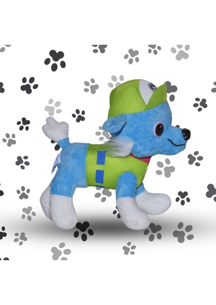 Paw Patrol Peluş Rocky Paw Patrol Karakterlerinden Oyuncak Peluş Rocky 22CM modelleri