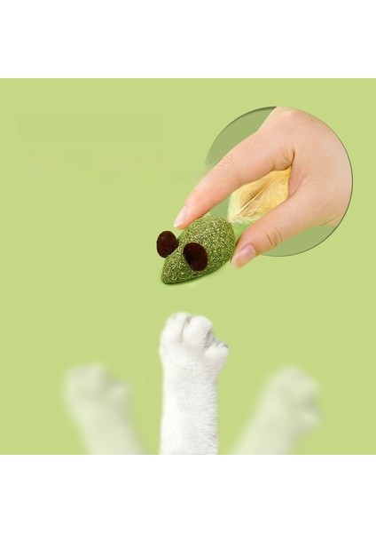 Kedi Kedi Nipeği Oyuncakları, 8 Adet Kedi Nipili Kedi Tüyü Oyuncakları, Sindirime Yardımcı Olun (Yurt Dışından)