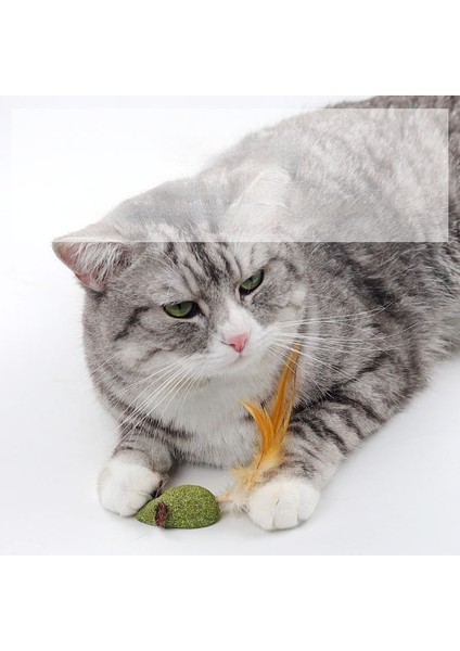 Kedi Kedi Nipeği Oyuncakları, 8 Adet Kedi Nipili Kedi Tüyü Oyuncakları, Sindirime Yardımcı Olun (Yurt Dışından)