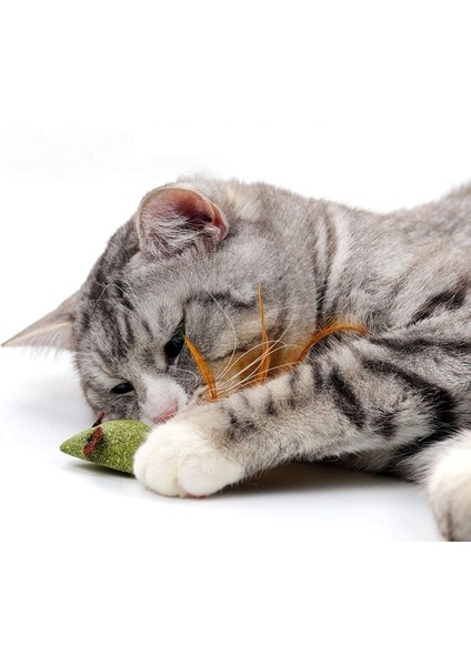 Kedi Kedi Nipeği Oyuncakları, 8 Adet Kedi Nipili Kedi Tüyü Oyuncakları, Sindirime Yardımcı Olun (Yurt Dışından)