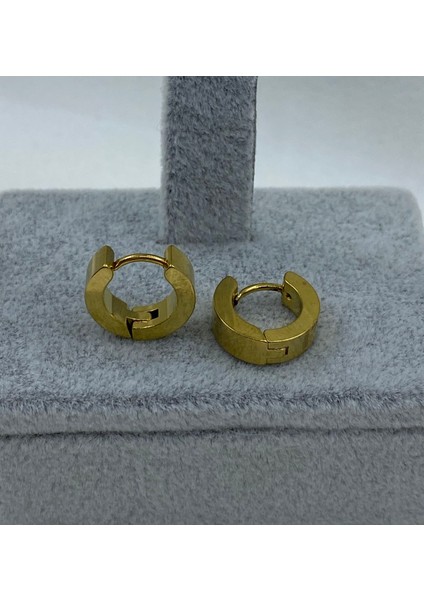 Çelik Gold Renk Halka Model Küpe fiyatları