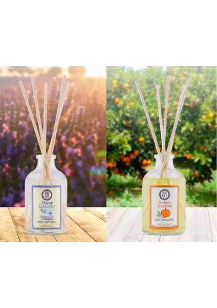Eyüp Sabri Tuncer Oda Kokuları 50 ml x 2