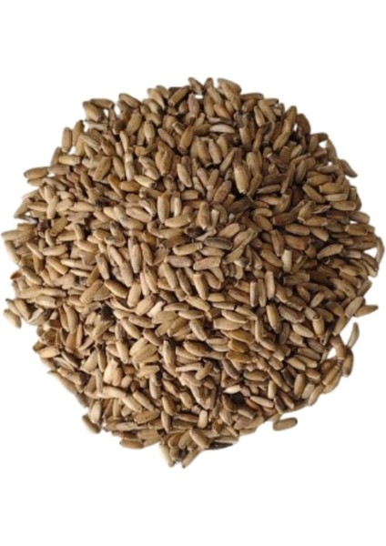 Kenger (Yabani Enginar) Tohumu 250 gr