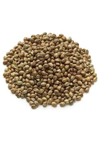 Kendir Tohumu 250 gr