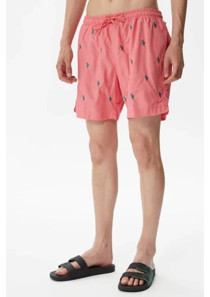 Erkek ŞORT-T35224T modelleri