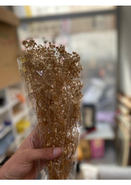 Cipso Kuru Çiçek Iri Taneli Süs Dekoratif Görsel (50GR)