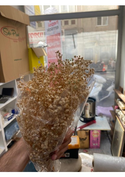 Cipso Kuru Çiçek Iri Taneli Süs Dekoratif Görsel (50GR)