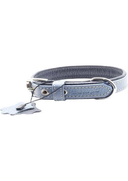 Yumuşak Dokulu Gerçek Deri Flatiron Köpek Boyun Tasması Turkuaz Lacivert 2,5X47 cm