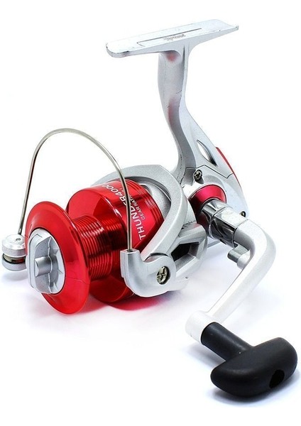 Axen 300 cm 100-200 gr + Thunder 6000
