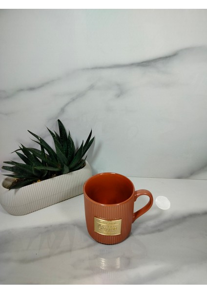 mc Droit Gold Kupa -Kiremit - 385ML modelleri