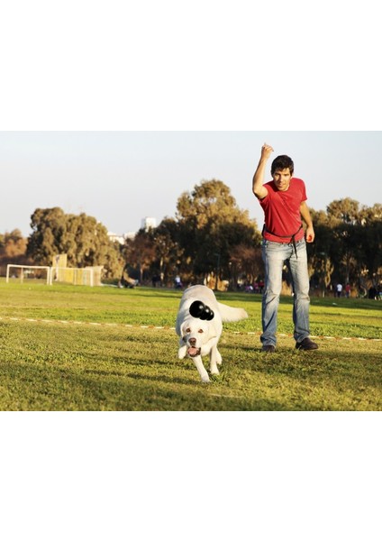 Extreme Köpekler İçin Ultra Sert Isırma Oyuncağı XXL indirimleri