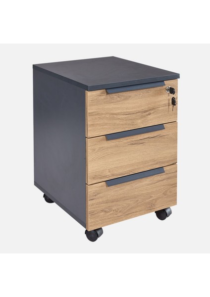 Tidy Standart Keson (Antrasit/kapaklar Pera)