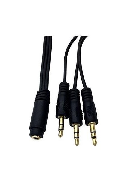 Ses Sistemi Kablosu 3 Erkek Aux 1 Dişi Aux 1 Dişi Stereo 3 Erkek Stereo Kablo