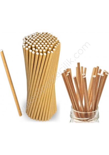 Karton Pipet Naturel Renk 25 Adet