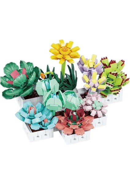 Nessiworld Sukulent Çiçek Buketi 8842