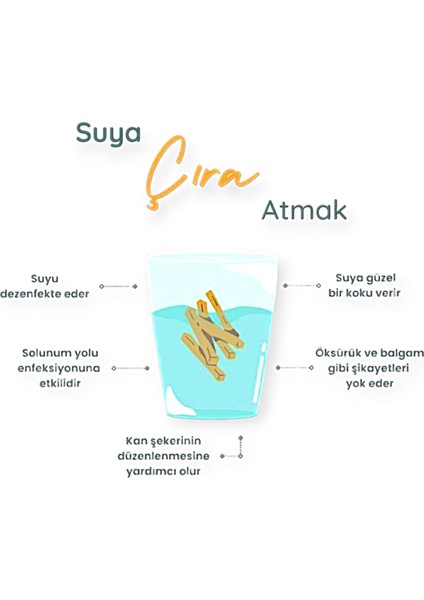 Organik Çam Çırası Içme Suyuna Uygun